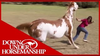 Once Bitten Twice Shy How to Train a Dangerous Dominant Horse [upl. by Burlie]