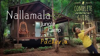 NALLAMALA Jungle Camp  PACHERLA  330kms from Hyderabad  Cinematic [upl. by Remled]