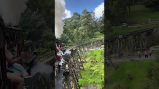 Kasto Mazza Ae Railaima  Old Hindi Song  oldtrain melbourne puffingbilly travel shorts [upl. by Tonnie]