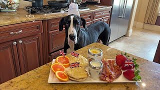 Great Dane chef enjoys tasty English breakfast [upl. by Silvio614]