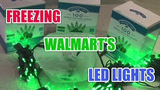 Walmarts LED Christmas Lights in a block of ICEDo they work [upl. by Leanard]