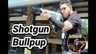 Panzer arms bullpup bp12  12 gauge shotgun review 12ga magazine fed semiautomatic semi auto ar12 [upl. by Dachy677]