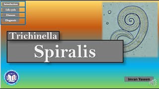 Trichinella spiralis a ratpig worm facing dead end host  Parasitology  by Imran Yaseen [upl. by Concepcion]