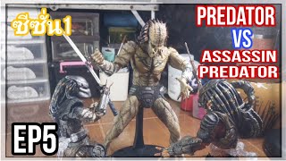 PREDATOR VS ASSASSIN PREDATOR EP5 ซีซั่น1 [upl. by Ahsemak]