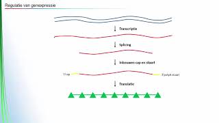Regulatie van genexpressie [upl. by Uhej]