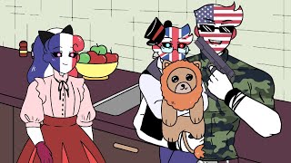 Kitchen Gun  Toilet Grenade Countryhumans Meme Animatic [upl. by Suiradal711]