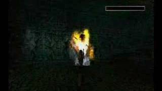 Tomb Raider 3 Speedrun  Temple Ruins Part 2 [upl. by Eirrok]