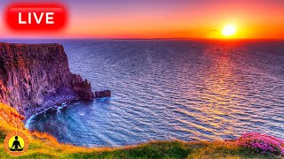 🔴 Relaxing Music 247 Stress Relief Music Sleep Music Meditation Music Study Calming Music [upl. by Limann]