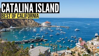 Things To Do in CATALINA ISLAND California Travel Guide amp Vlog [upl. by Goldin971]