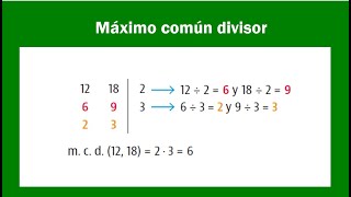 EL máximo común divisormcd [upl. by Jeuz]