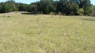 256 Acres of Land for Sale 4 miles from Goldthwaite Texas [upl. by Anyrtak]