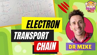 Electron Transport Chain  Made Easy [upl. by Nivart881]