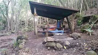 Advocating for Remote Shelters for Hunters on Kauai [upl. by Burke]