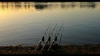 Linear Fisheries  The Number One Day Ticket Carp Water [upl. by Caia]