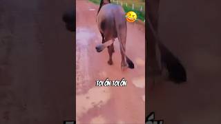 Yah kya hai 😊😂funny viraltiktok statmrfunny shand shortfeed short [upl. by Nyberg]