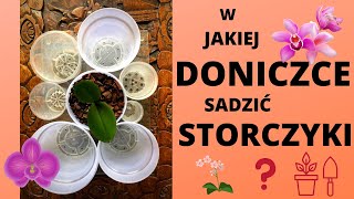 Czy storczyk musi mieć przezroczystą osłonkę Jaki rozmiar doniczki Doniczka DIY [upl. by Desma]