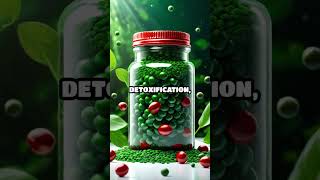 spirulina vs algae review Learn the Facts shorts algae spirulina superfood [upl. by Tingley]