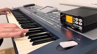 Turski Cocek  Korg pa800 [upl. by Oguh957]