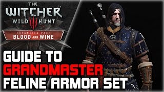 WITCHER 3 Grandmaster FELINE Armor Set GUIDE ► Diagrams Locations Crafting Stats Appearance [upl. by Iew]