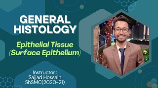 Epithelial Tissue Surface Epithelium  Histology Basic Lecture  Explained in Bangla [upl. by Nosrettap]