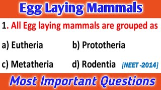 Monotremes  Egg Laying Mammals  Biology mcqs Chordata [upl. by Greysun815]