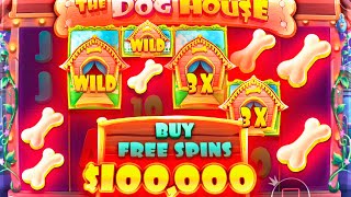 100000 BUY INSANE Dog House Win MEGAWAYS [upl. by Akemat]