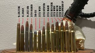 Ultimate Guide To 93mm amp 375 Cal Cartridges  93x62 375 HampH 375 Ruger 375 RUM 375 Wby amp More [upl. by Yllek]