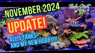 November 2024 Reef Tank Updates [upl. by Dunseath]