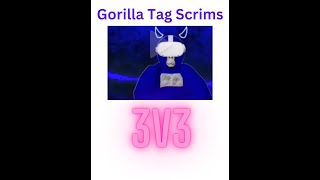 Gorilla Tag Team Tryout Scrims [upl. by Saudra]