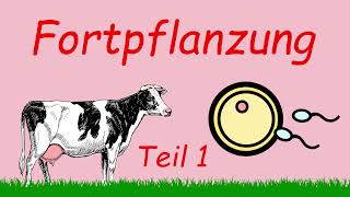 Fortpflanzung  Teil 1  Podcast  Kuhles zum Kauen [upl. by Hildebrandt268]