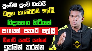 online job sinhala  online job at home sinhala  E money sinhala  online salli hoyana karama [upl. by Priest]