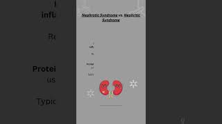 Nephrotic Syndrome vs Nephritic Syndrome [upl. by Gwenneth365]