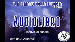 IL RICHIAMO DELLA FORESTA audiolibro integrale letto da AArcoraci [upl. by Eiuqnom493]