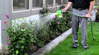 Easy Way to Feed Your Landscape or Garden With MiracleGro® Garden Feeder [upl. by Ihsorih]