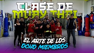 Muay Thai  Curso de defensa personal [upl. by Lucie]