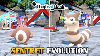 How To Evolve Sentret Into Furret In Pokemon Scarlet amp Violet DLC  The Teal Mask [upl. by Ardnasela]