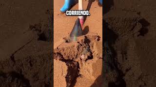 Esta cosa del desierto puede hacerte millonario😮 shortsvideo [upl. by Finley]