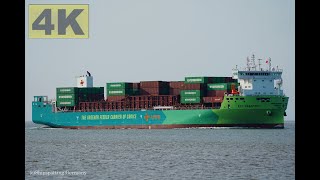 ECO MAESTRO  Shipspotting Germany 🇩🇪 IMO 9985942  River Elbe near City Otterndorf  4K VIDEO [upl. by Rratsal]