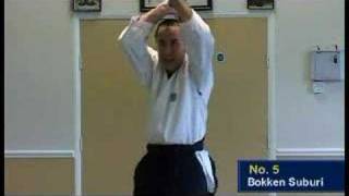 Aikido  7 bokken suburi Dunken Francis [upl. by Darryn]