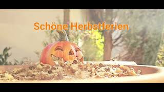 Schöne Herbstferien [upl. by Nolos]