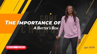 The Softball Batter’s Box Explained [upl. by Elbring660]