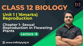 Class 12 Biology  Lecture 8 Sexual Reproduction in Flowering Plant  NCERT  CBSE  ICSE [upl. by Lydnek]