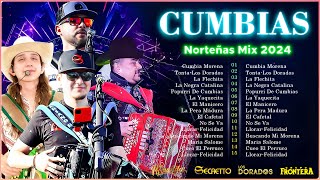 💥Norteñas para bailar 2024 💃🏽 Norteñas Mix 💃🏽 Cumbias Norteñas 💃🏽 Cumbias Mix 2024💥 [upl. by Reinaldo415]