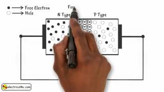 How does a Diode Work A Simple Explanation  How Diodes Work  Electrical4U [upl. by Vesta]