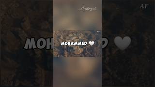 Mohammed nabina song muslimworld love edit muslimgirl [upl. by Nugesulo]