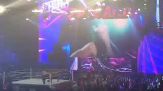 WWE Paige Entrance Live 06114 [upl. by Kussell]