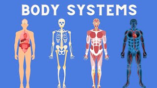 11 Body Systems in 3 minutes [upl. by Aneer]