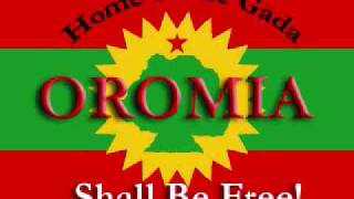 new 2018 Oromo music kadir said ABO [upl. by Airdnaxela]