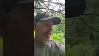 River Report from Lopstick Outfitters July 132024 [upl. by Aicek]