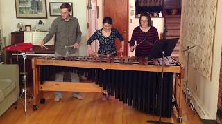 Hoedown from Rodeo by Aaron Copland arranged for marimba [upl. by Sylera540]